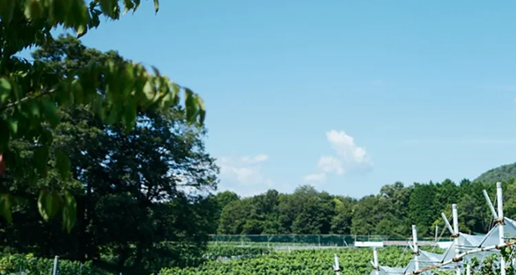 メインビジュアル